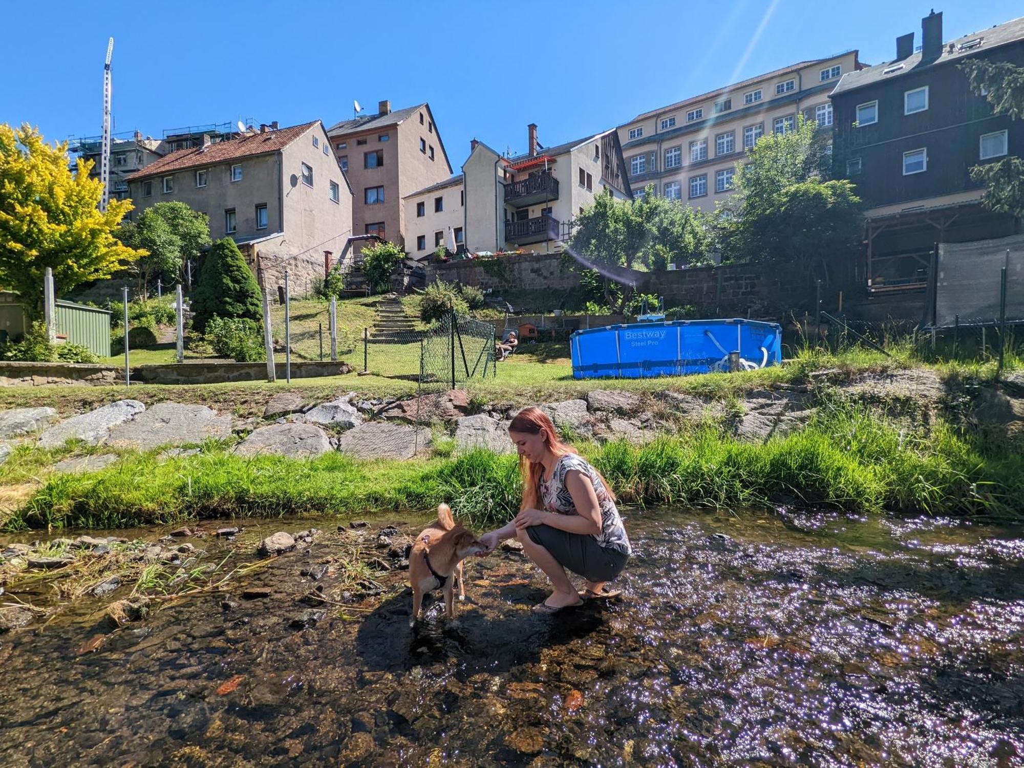 Urlaubsmagie - Sauna&Whirlpool Zum Entspannen - Hw1 Sebnitz Exterior photo